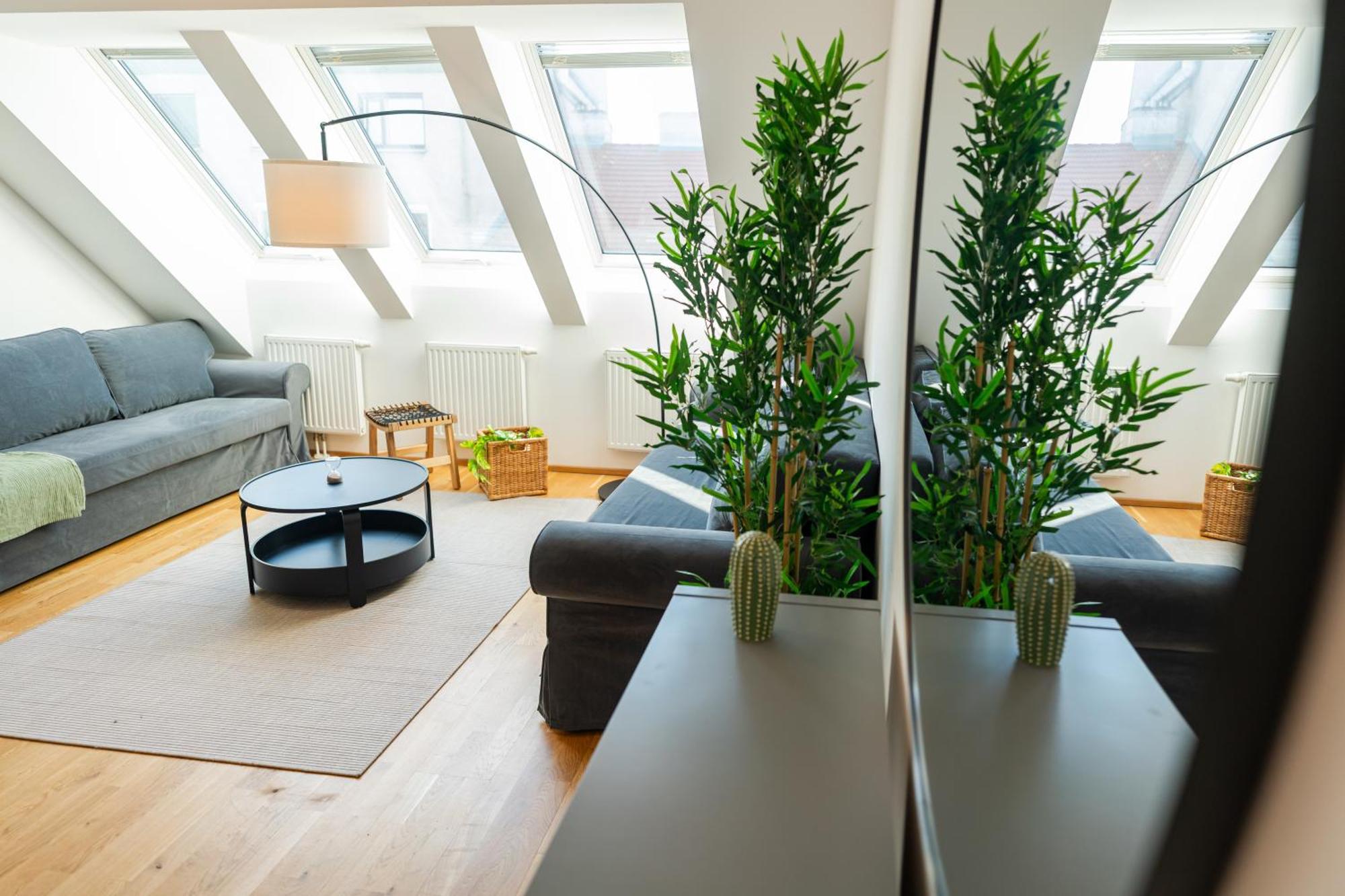 Luxury Penthouse With Rooftop Terrace